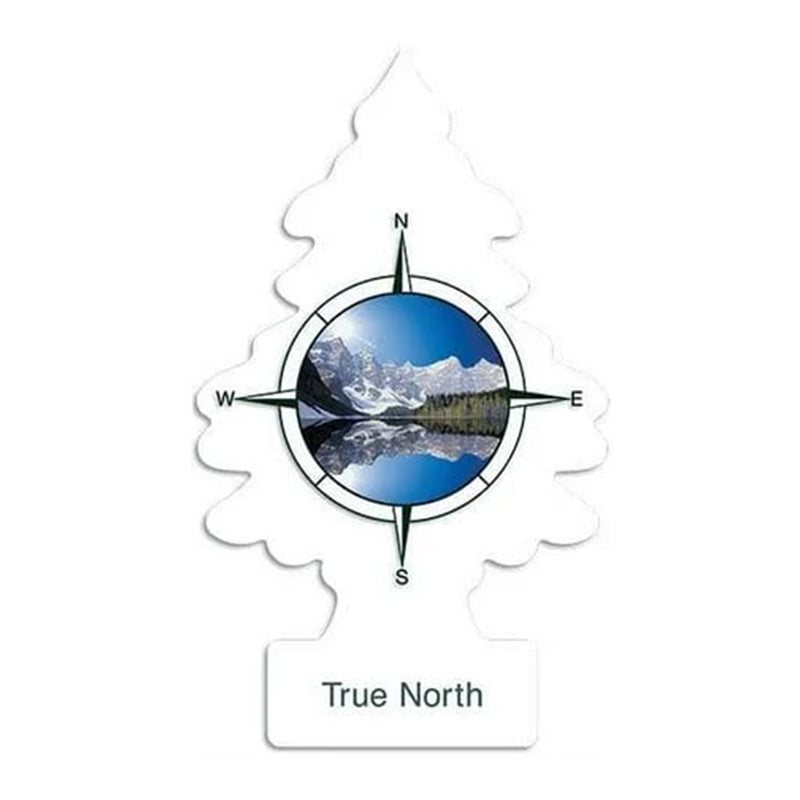 LITTLE TREES TRUE NORTH 24CT