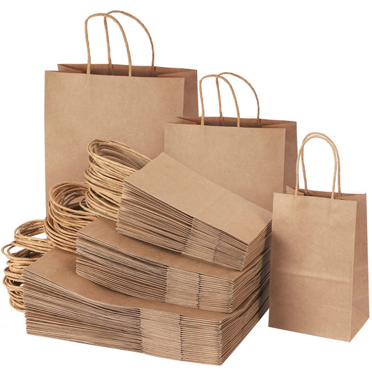 PAPER BAG W HANDLE 100CT
