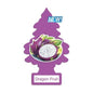 LITTLE TREES DRAGON FRUIT 24CT