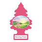 LITTLE TREES MORNING FRESH 24CT