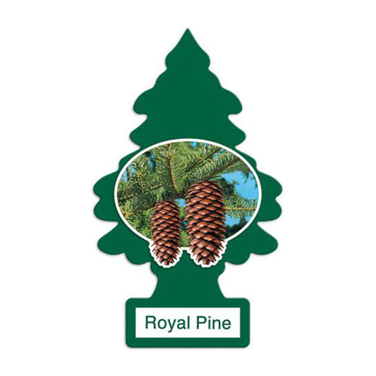 LITTLE TREES ROYAL PINE 24CT