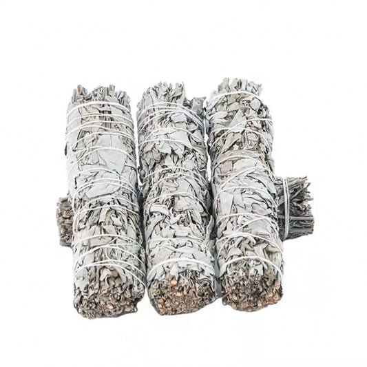 SAGE 4" 10CT