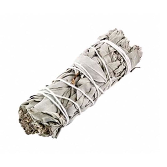 SAGE 4 INCH 1CT
