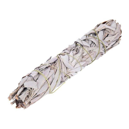 SAGE 8 INCH 1CT